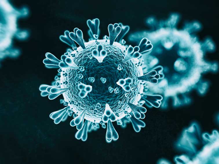 Coronavirus