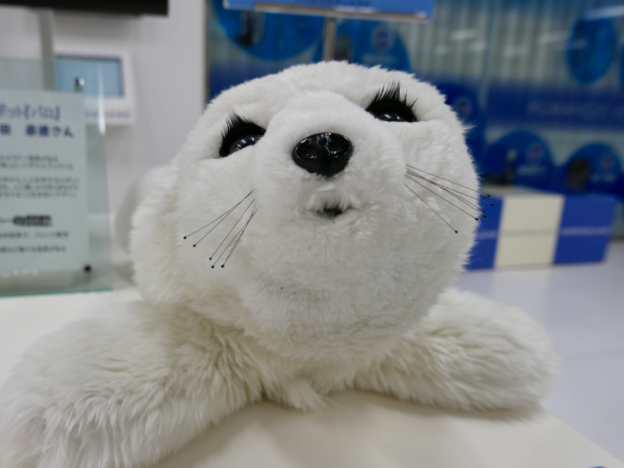 Paro the robotic seal.